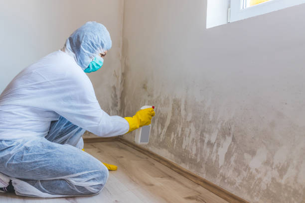 Mold inspector in Gwynn Oak performing thermal imaging